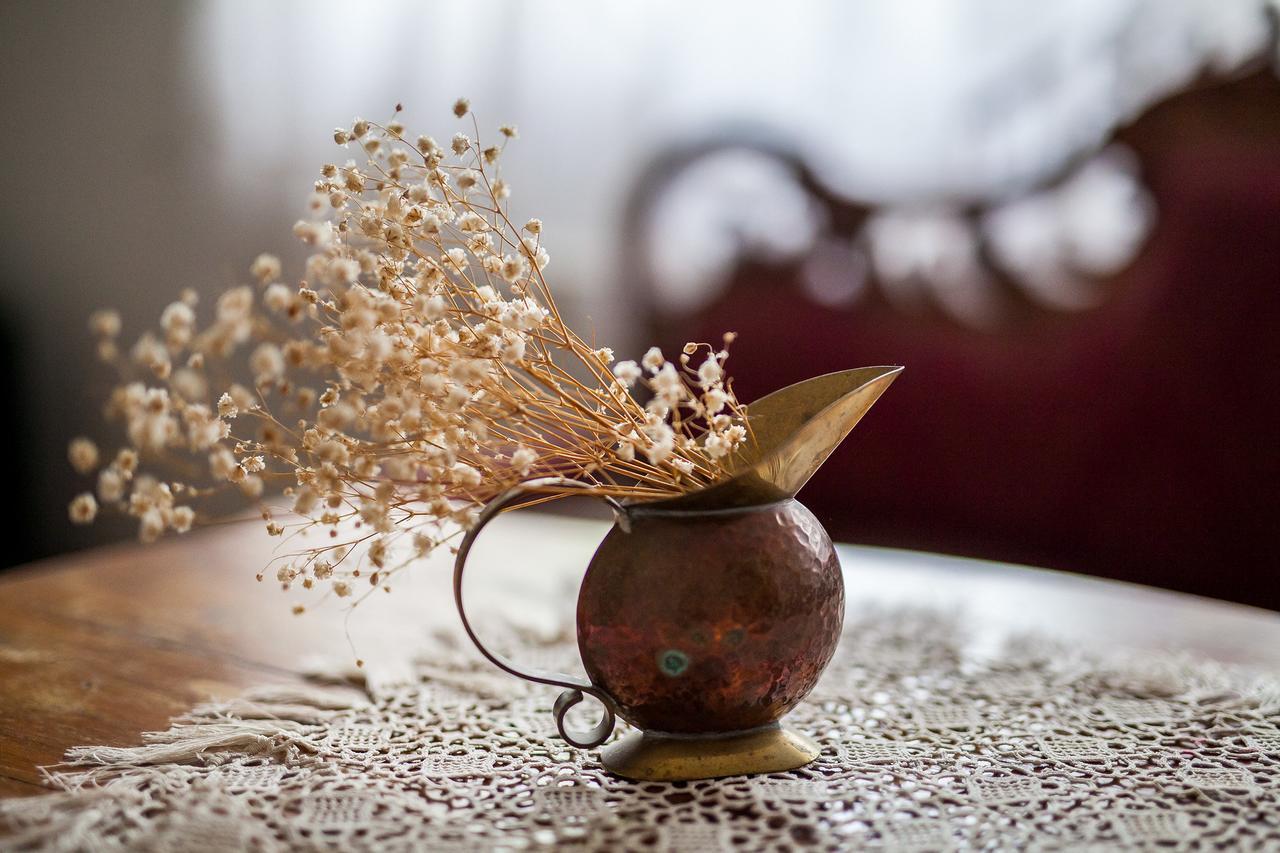 Dwor W Odonowie المظهر الخارجي الصورة